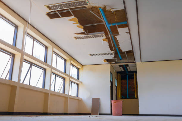 Best Emergency water damage restoration  in Weyers Cave, VA