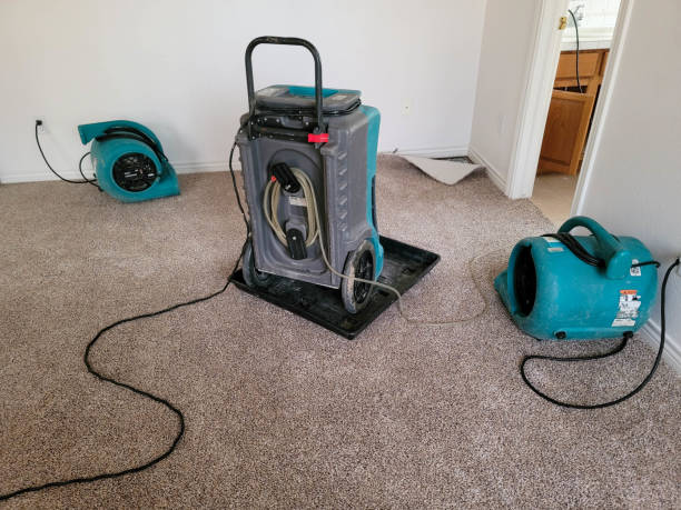 Best Ceiling water damage repair  in Weyers Cave, VA