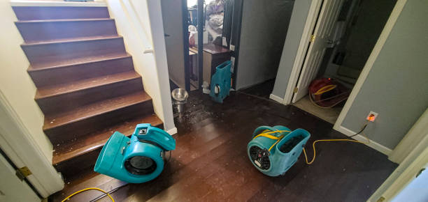 Best Flood damage cleanup  in Weyers Cave, VA