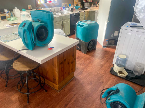 Best Water damage repair service  in Weyers Cave, VA