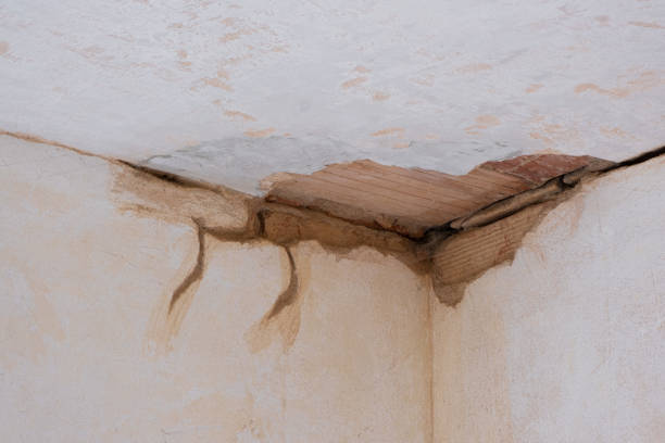 Best 24-hour water damage restoration  in Weyers Cave, VA