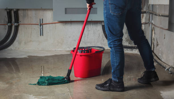  Weyers Cave, VA Water damage restoration Pros