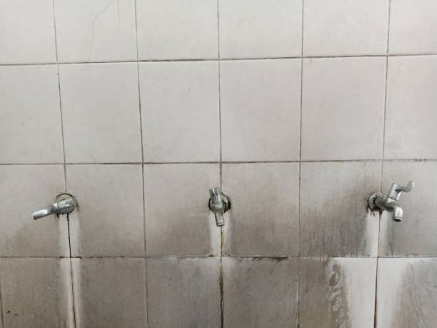 Best Water damage restoration cost  in Weyers Cave, VA