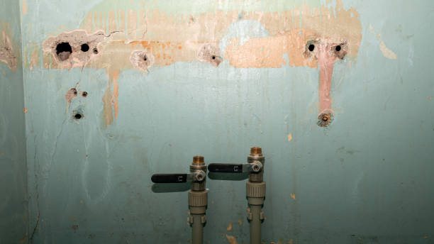 Best Flood restoration services  in Weyers Cave, VA