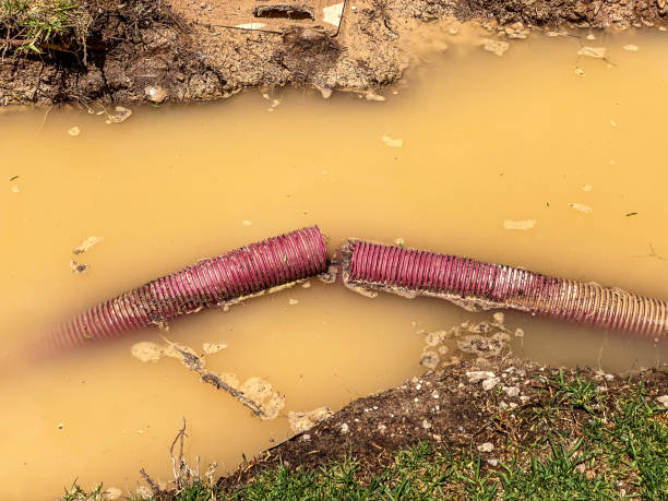 Best Water damage restoration experts  in Weyers Cave, VA