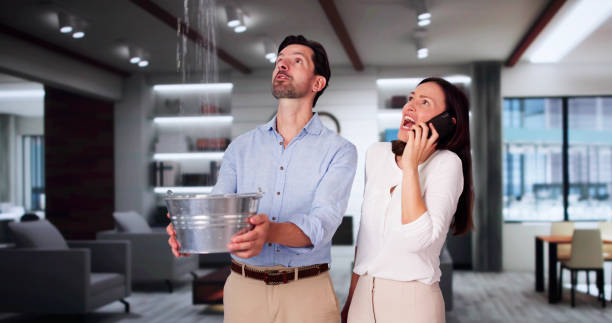 Best Sewage cleanup and water damage restoration  in Weyers Cave, VA