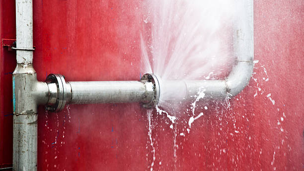Best Water damage mitigation services  in Weyers Cave, VA