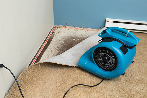Professional Water damage restoration in VA